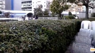 国产精品.国产高清免费啪视频日本免费一区香蕉视频,亚洲毛片免费一级,国产在线精品一区亚洲毛片免费一级,国产在线精品一区二区不卡麻豆